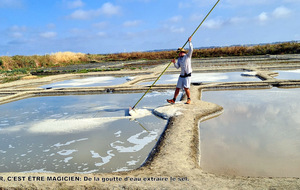 Être paludier c'est être magicien: extraire le sel de la goutte d'eau !