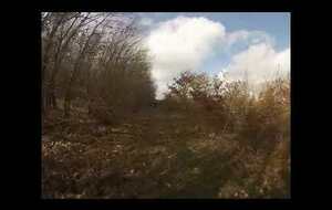 La Forestière (vtt)